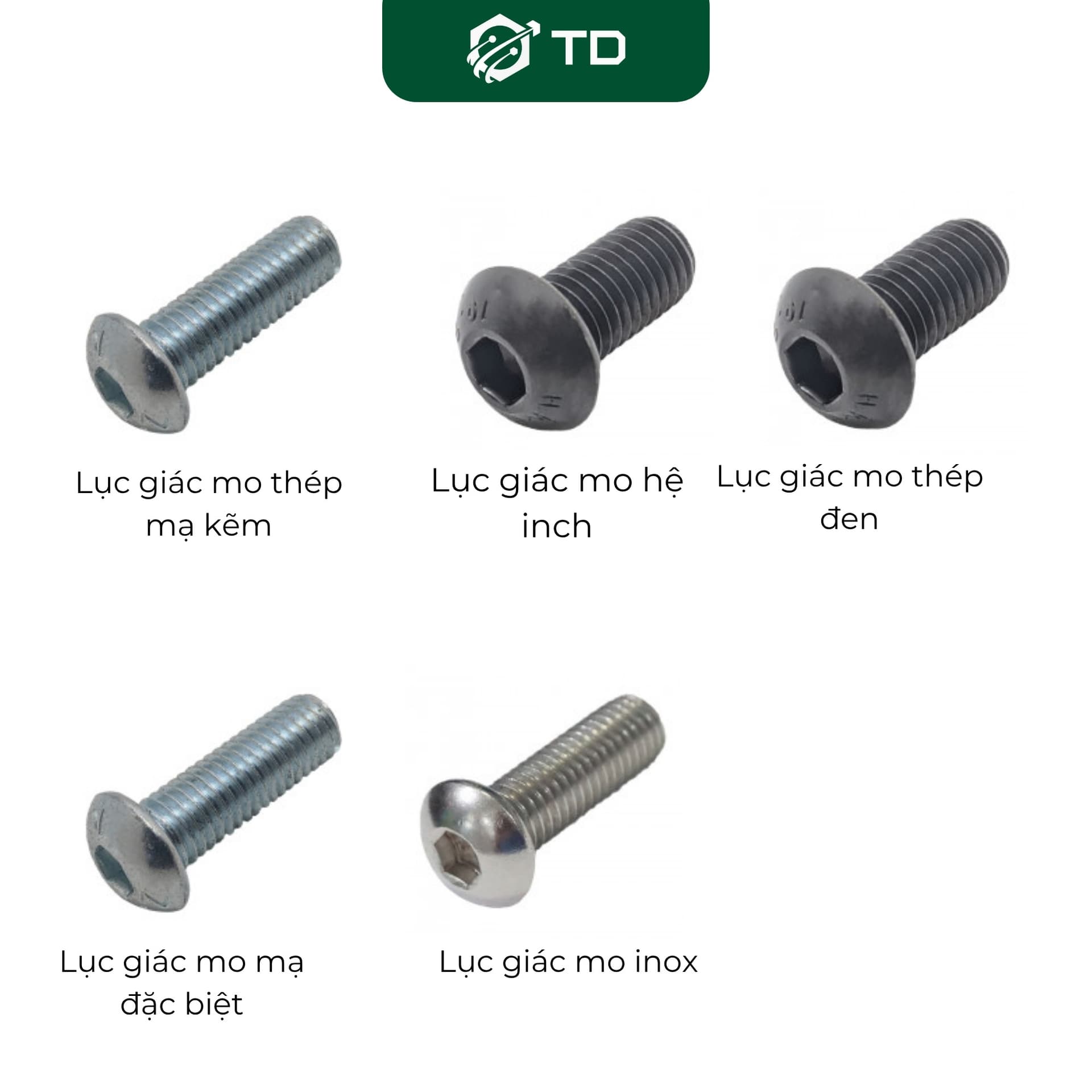 Lục giác chìm đầu mo 
