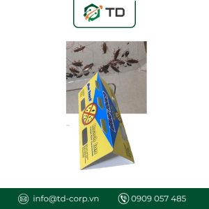 Bẫy pheromone chất dẫn dụ côn trùng