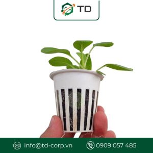 Rọ nhựa thuỷ canh