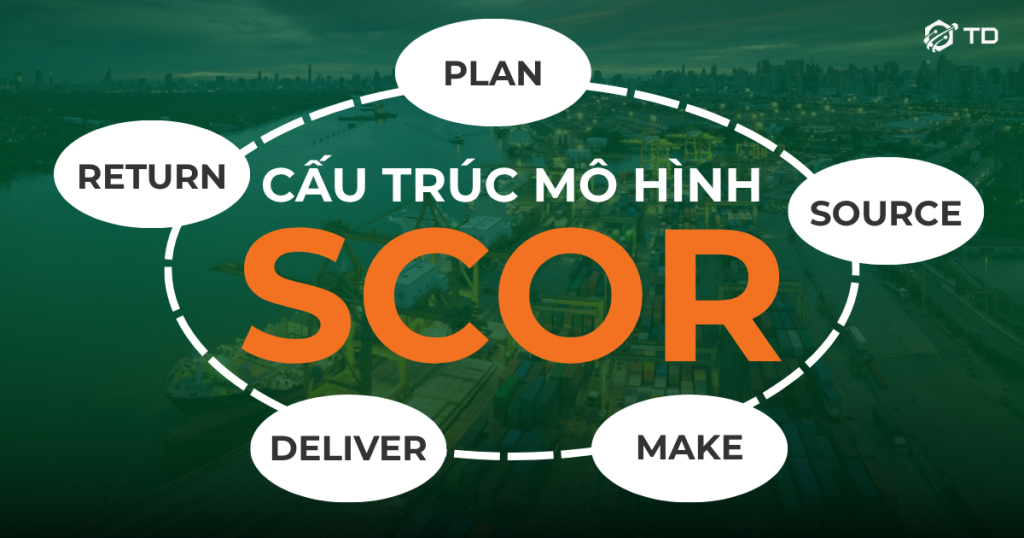 Cáu trúc mô hình Scor