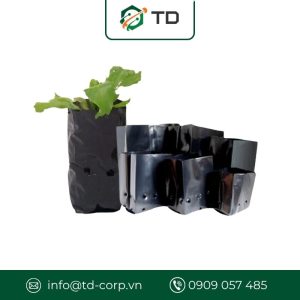 Túi bầu ươm cây đen