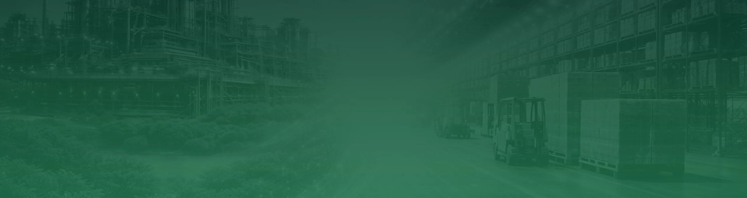 Frame 1321317721 scaled