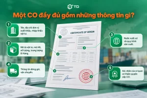 Một CO đầy đủ gồm những thông tin gì?